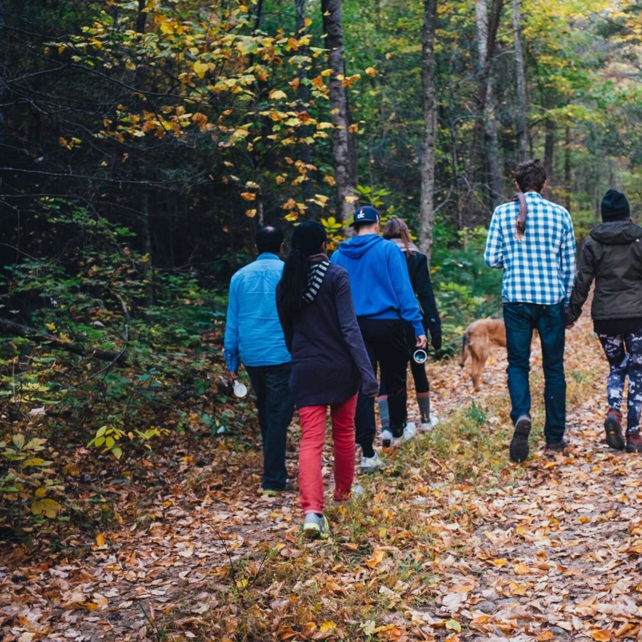 walk group walking